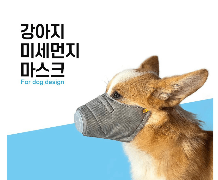 중국 미세먼지 벚꽃 봄나들이 강아지 애견 3중필터 마스크세트 이미지