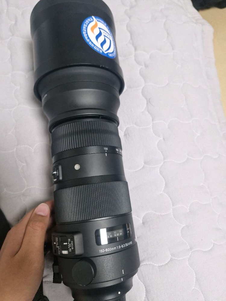 니콘F)시그마 150-600mm F5-6.3 DG OS HSM sports 스포츠 렌즈 이미지