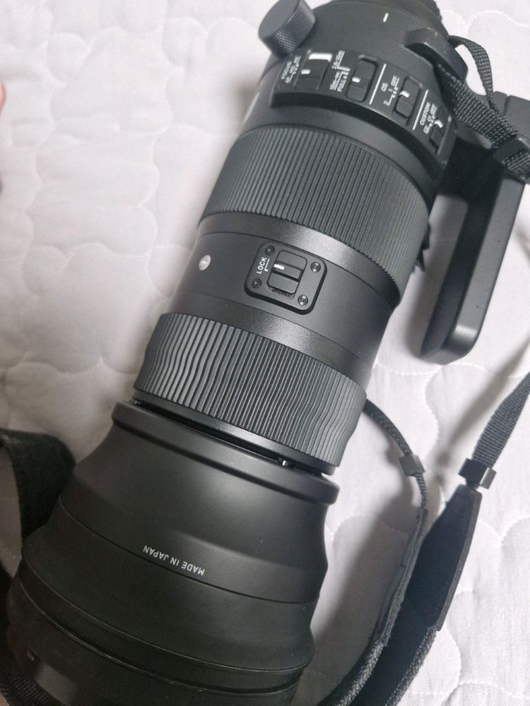 니콘F)시그마 150-600mm F5-6.3 DG OS HSM sports 스포츠 렌즈 이미지