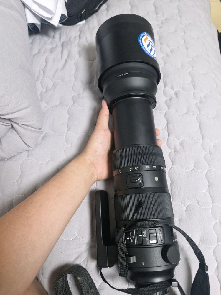 니콘F)시그마 150-600mm F5-6.3 DG OS HSM sports 스포츠 렌즈 이미지