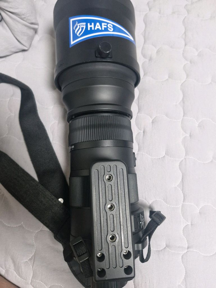 니콘F)시그마 150-600mm F5-6.3 DG OS HSM sports 스포츠 렌즈 이미지
