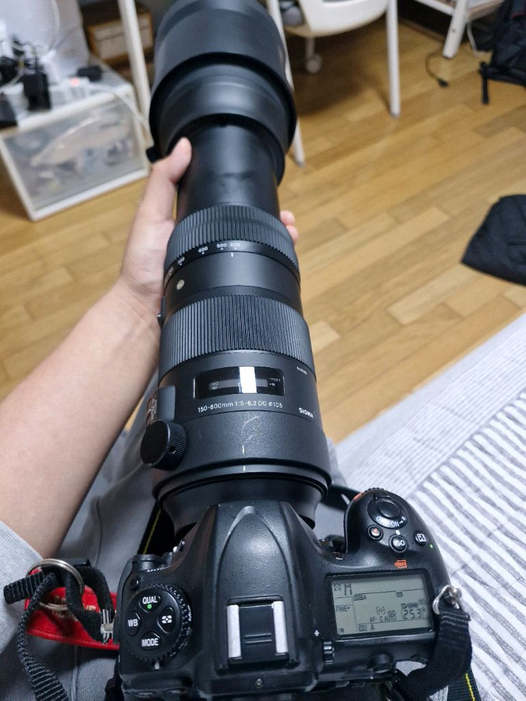 니콘F)시그마 150-600mm F5-6.3 DG OS HSM sports 스포츠 렌즈 이미지