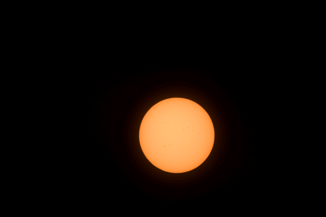 니콘F)시그마 150-600mm F5-6.3 DG OS HSM sports 스포츠 렌즈 이미지