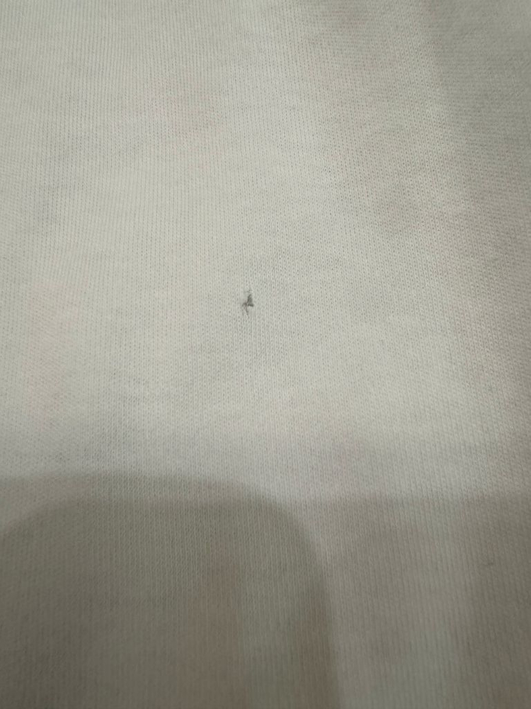 끌로에 chloe 원피스 10y (사이즈 업업 추천) 이미지