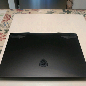 MSI GP66 10UG 고성능 게이밍 노트북/RTX3070,1.5TB 이미지