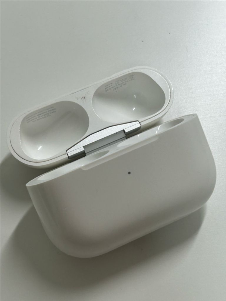 애플 에어팟 프로 1세대 본체 + 왼쪽 팝니다 이미지