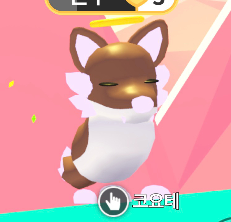 입양하세요 메가 코요테 이미지