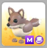 입양하세요 메가 코요테 이미지