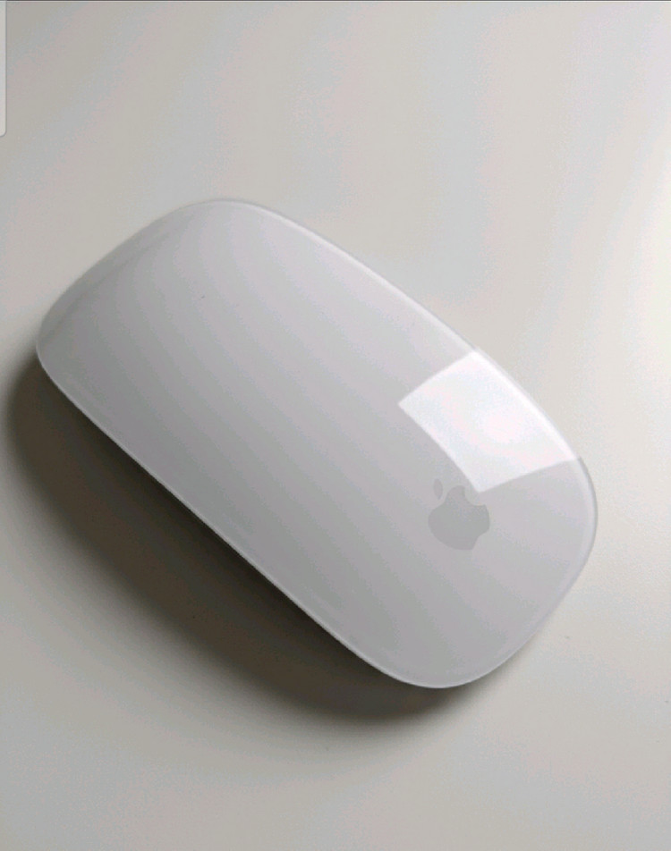 애플 매직마우스 1 화이트 이미지