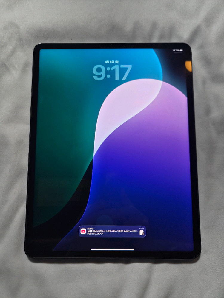 아이패드프로 6세대 12.9 민트급 + 애플펜슬2, 배터리94 이미지