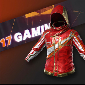 배그 17게이밍 후드 자켓 스킨 코드 이미지