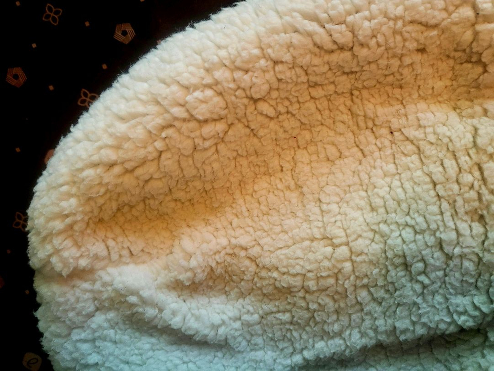 [미착용 새상품] SUPERDRY JAPAN 슈퍼드라이 양털비니 이미지