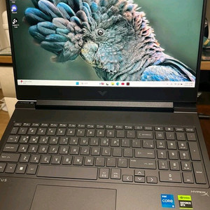 빅터스16 노트북 RTX 4060 판매(S급 상태) 이미지