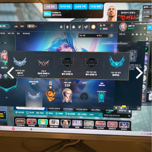 롤 아이디 판매합니다. 와일드리프트 다량스킨, 롤체 미니미 다량 보유중입니다. 이미지