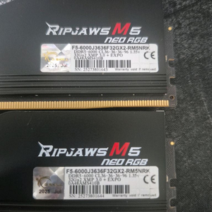 G.skill DDR5 64GB(32x2) ripjaws 6000 이미지