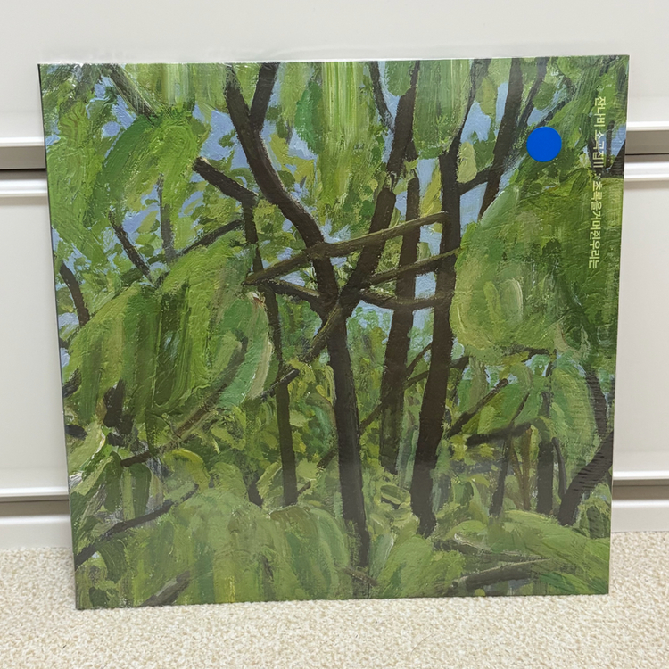 이하이, 태연, 이희상, 웬디, 아이유, 코스믹보이 미개봉 LP 이미지