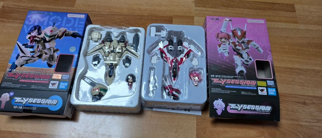 마크로스 타이니세션 엑스칼리버, 지크프리트 이미지