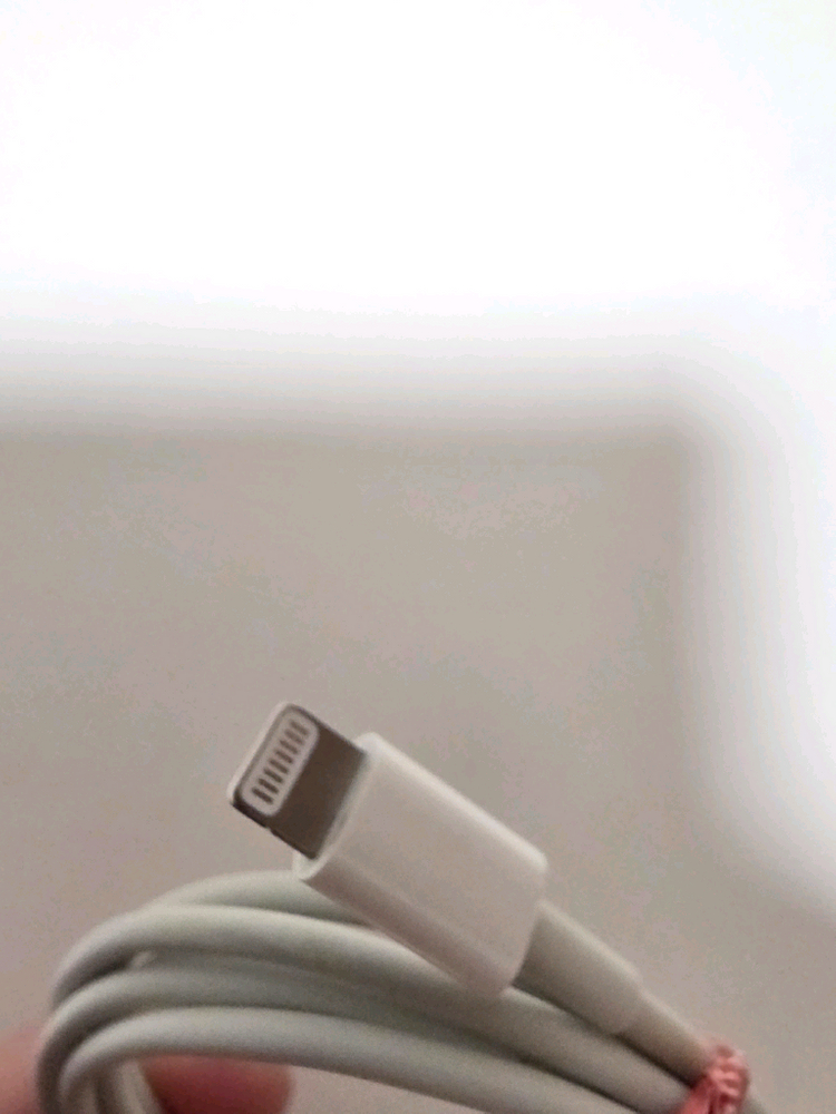 (정품)아이폰 8핀 to C타입케이블 이미지