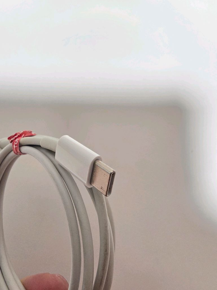 (정품)아이폰 8핀 to C타입케이블 이미지