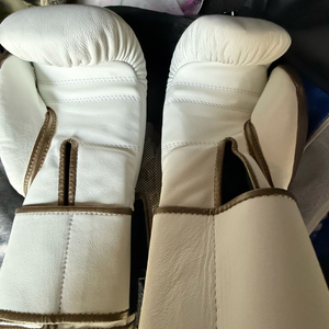 복싱글러브 14온스 플라이프리미엄 이미지