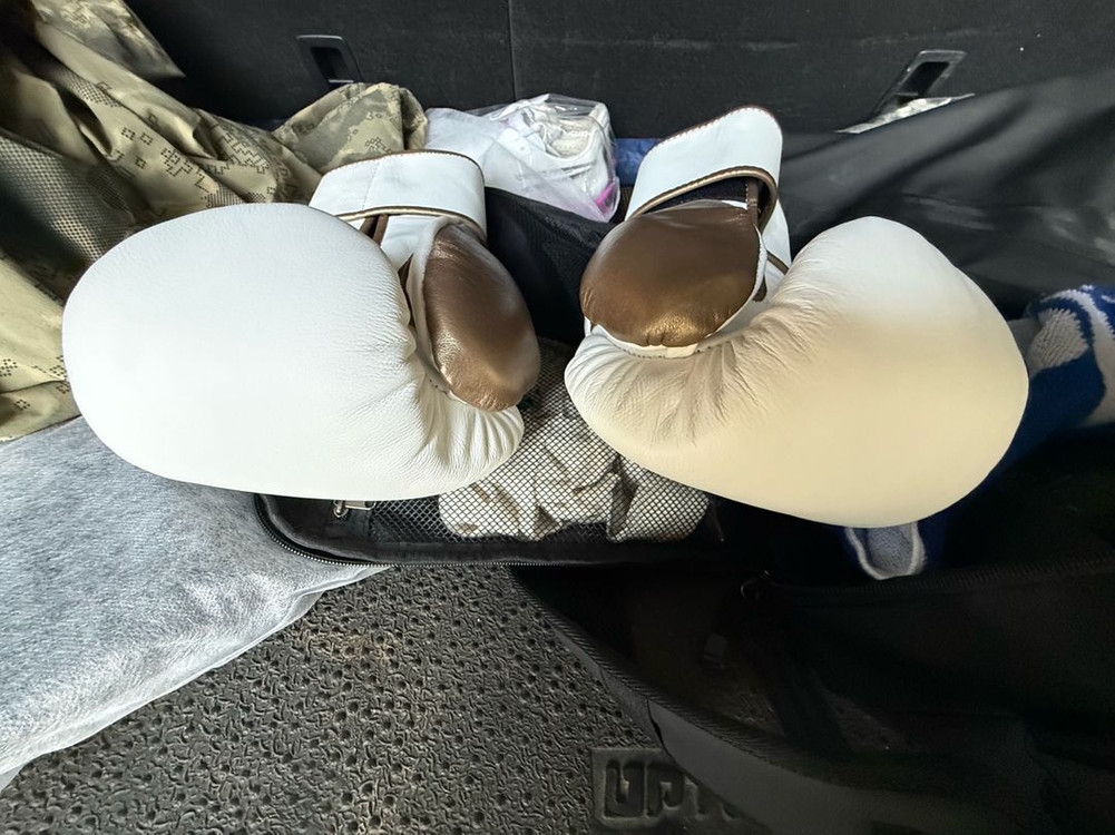 복싱글러브 14온스 플라이프리미엄 이미지