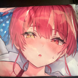 홀로라이브 호쇼 마린 다키마쿠라 커버 이미지