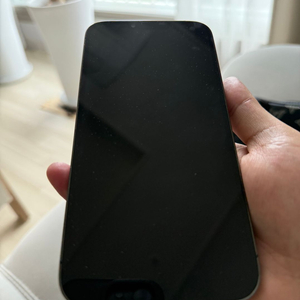 아이폰13 pro max 256gb 이미지