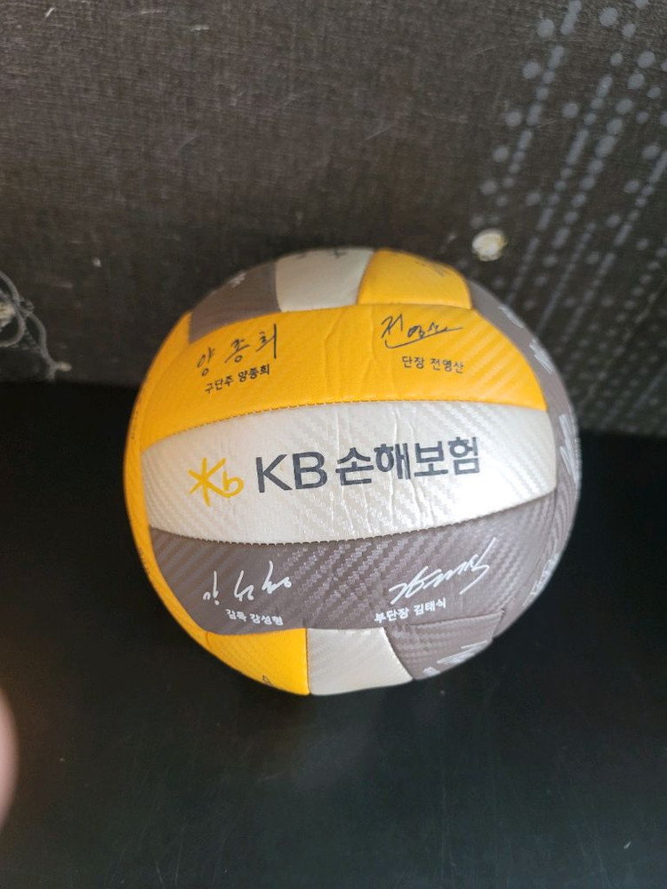 KB손해보험 스타즈 배구단 배구공 이미지
