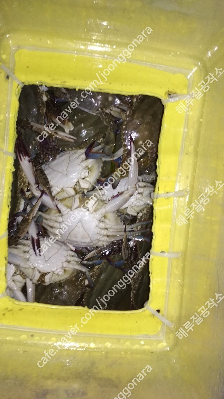 해루질 렌턴 수중서치 100m 스쿠버 다이버 랜턴 이미지