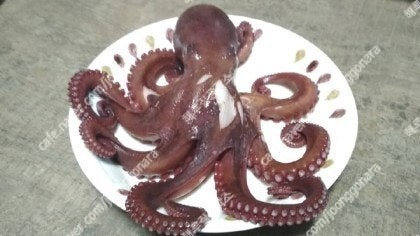 해루질 렌턴 수중서치 100m 스쿠버 다이버 랜턴 이미지