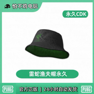 배그 레이저 모자(스팀전용) 이미지