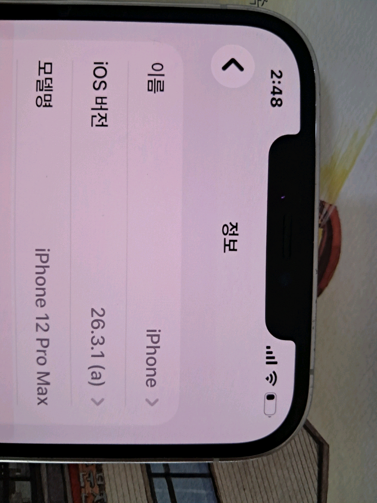 아이폰12 프로맥스 실버 256 액정 잔상 이미지