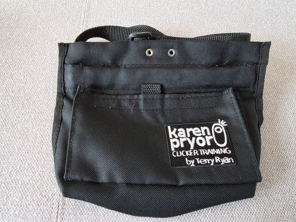 강아지 훈련용품. 이미지