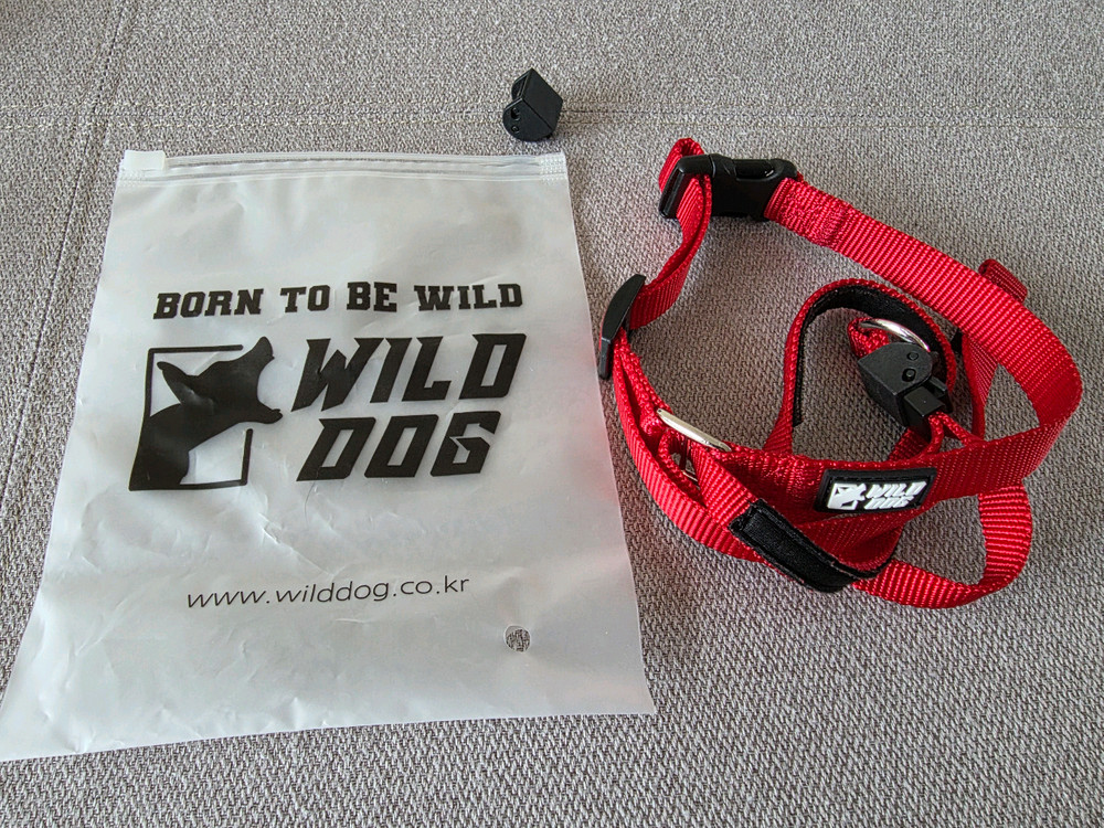 강아지 훈련용품. 이미지