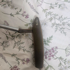 골프 퍼터 이미지