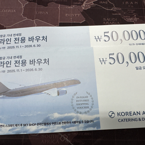 대한항공 면세점 바우처 팝니다 이미지