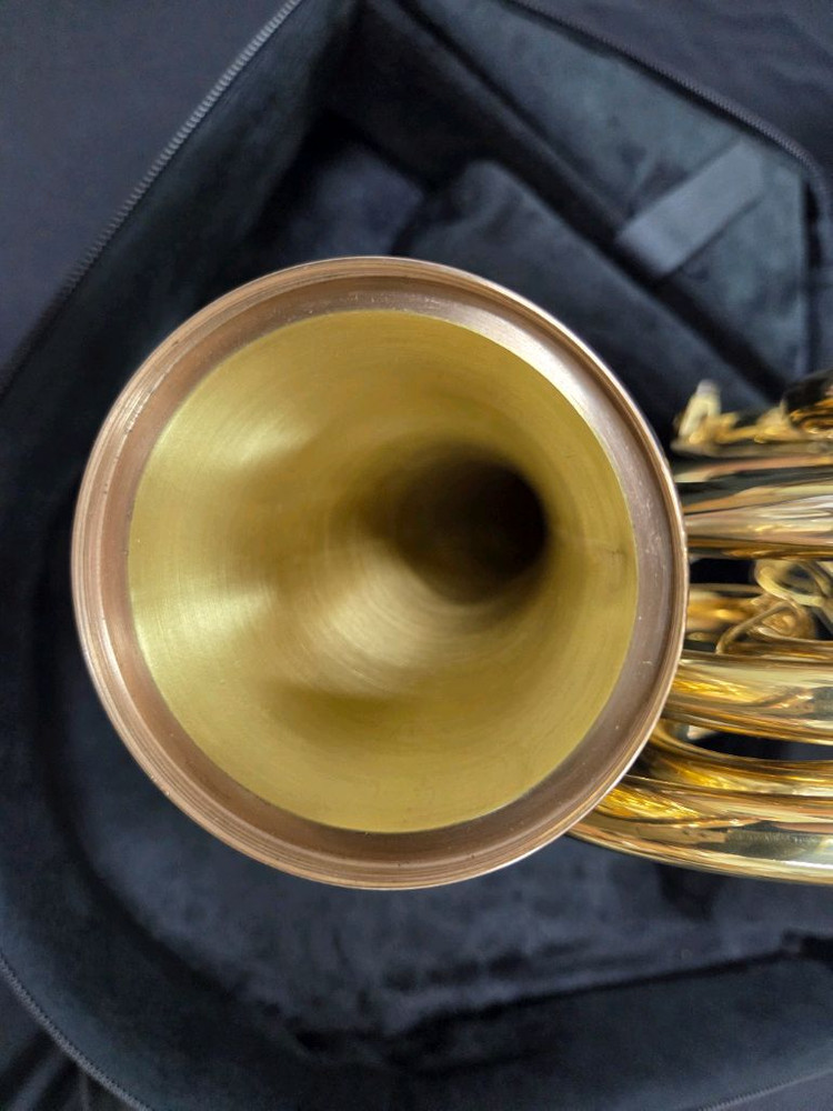 스톰비 타이탄 호른(더블호른) TP5050/거의미사용 A++급/전문가용/850만 이미지