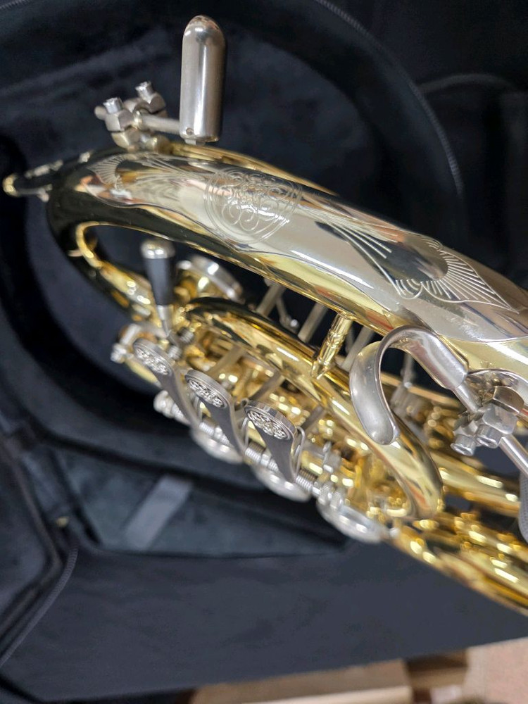 스톰비 타이탄 호른(더블호른) TP5050/거의미사용 A++급/전문가용/850만 이미지