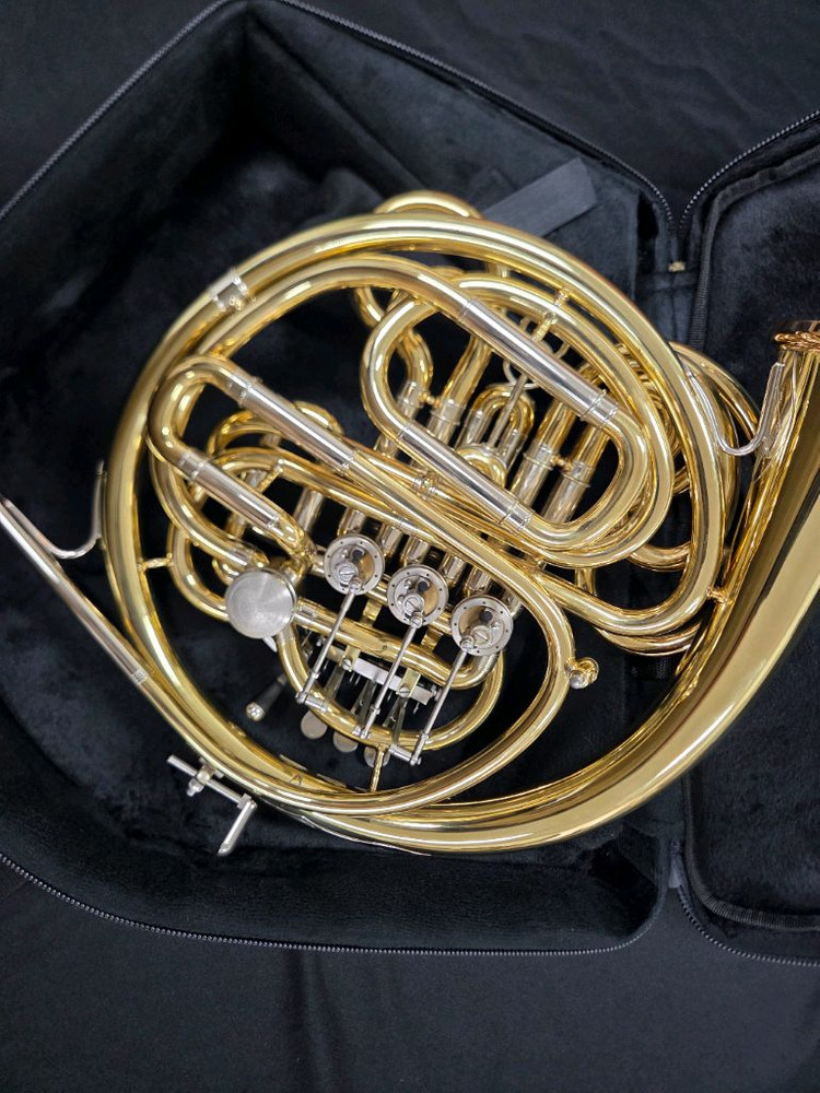 스톰비 타이탄 호른(더블호른) TP5050/거의미사용 A++급/전문가용/850만 이미지