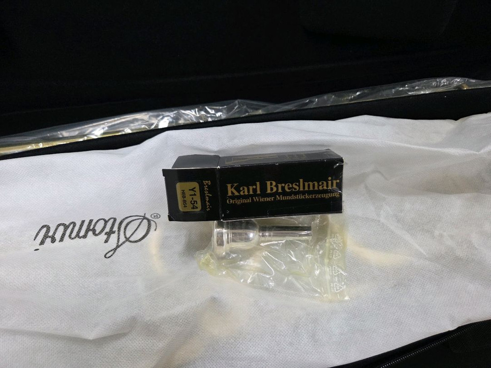 스톰비 타이탄 트럼본 TB5300/미사용S급 상태완벽/전문가용/350만 이미지