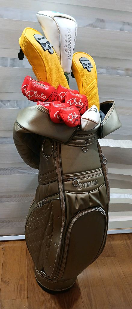 겔러웨이 여성용 FILLY 골프채 이미지