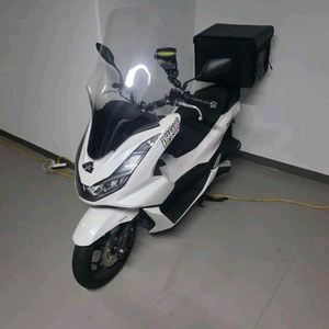 혼다 pcx125 abs 24년식 짧은키로수 이미지