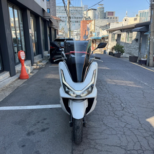 25년식 혼다 pcx125 이미지