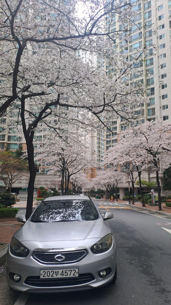 부산 르노삼성sm3 13년식 이미지