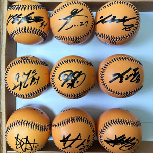 2017년 기아타이거즈 우승멤버 싸인볼 - 양현종, 최형우, 이범호, 김선빈 등 (호걸이 안전구) 이미지