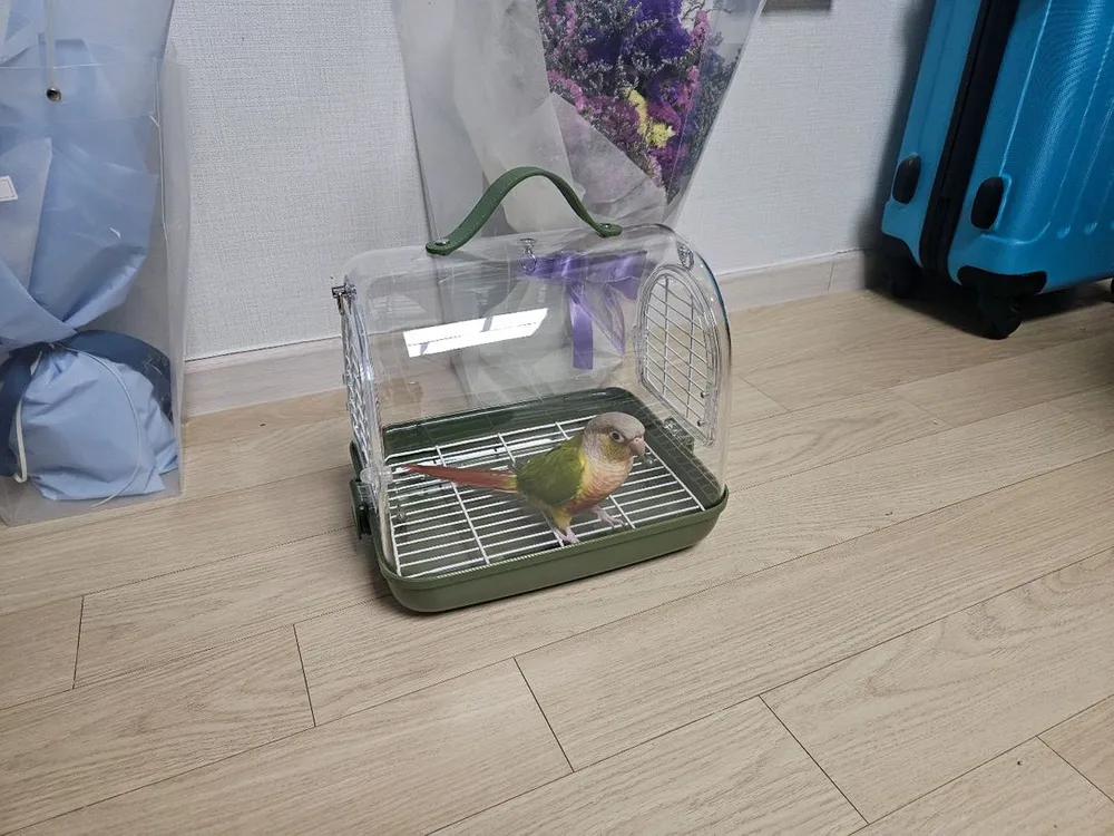 앵무새 이동가방 이동장 이미지