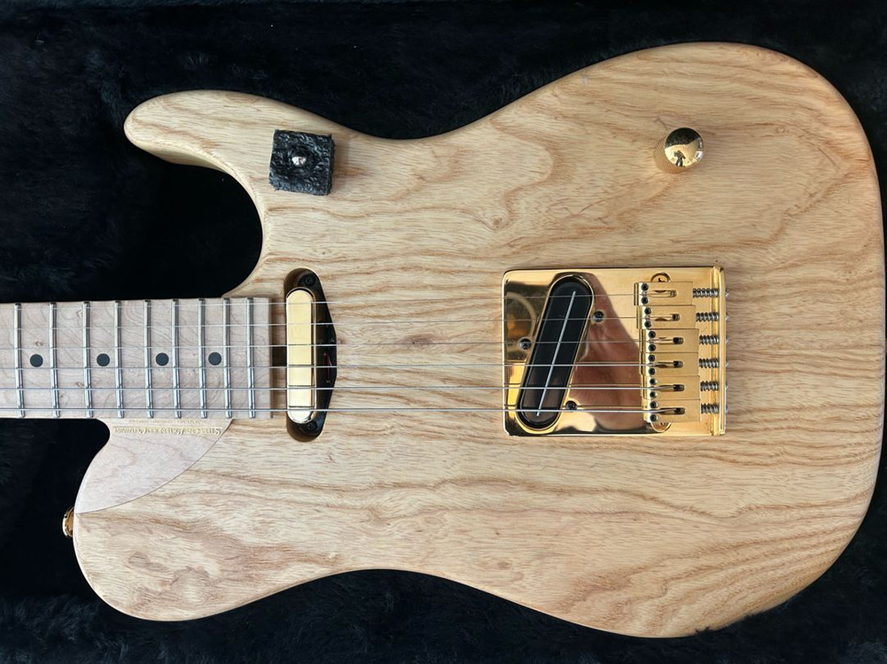 washburn nele기타 판매합니다 이미지