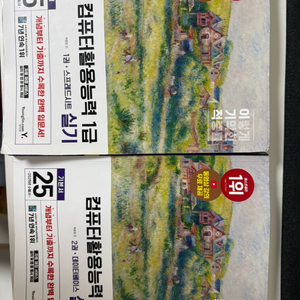 이기적 컴퓨터활용능력 컴활 1급 실기 2025년 이미지