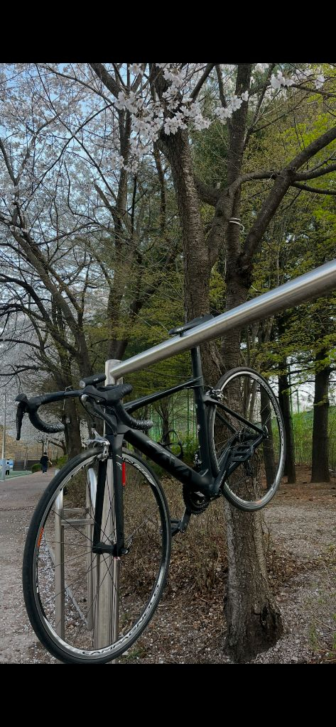 사바 콜로라도 5s 카본 로드 자전거 시마노 105&울테그라 이미지