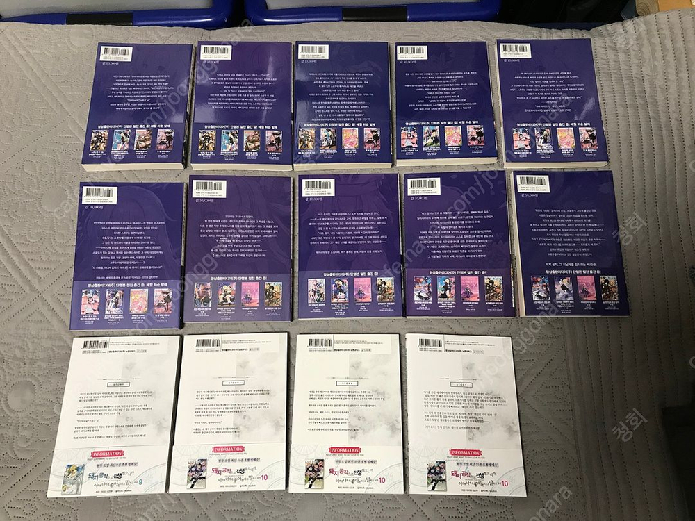 라노벨 라이트 노벨 만화책 코믹스 돼지 공작으로 전생했으니까 이번엔 너에게 좋아한다고 말하고 싶어 올초판 초판 이미지